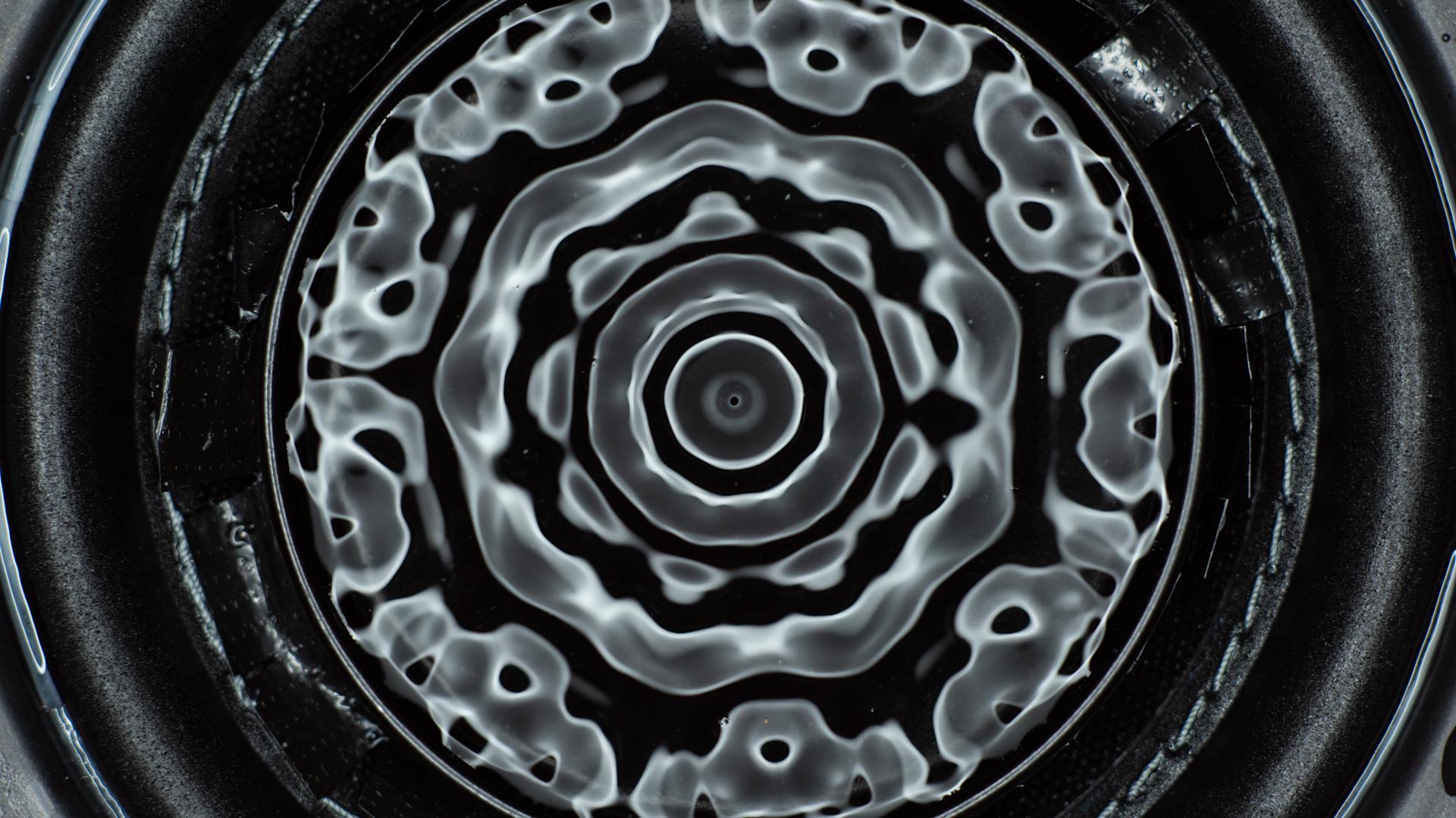 Cymatic fine-art plate, black and white