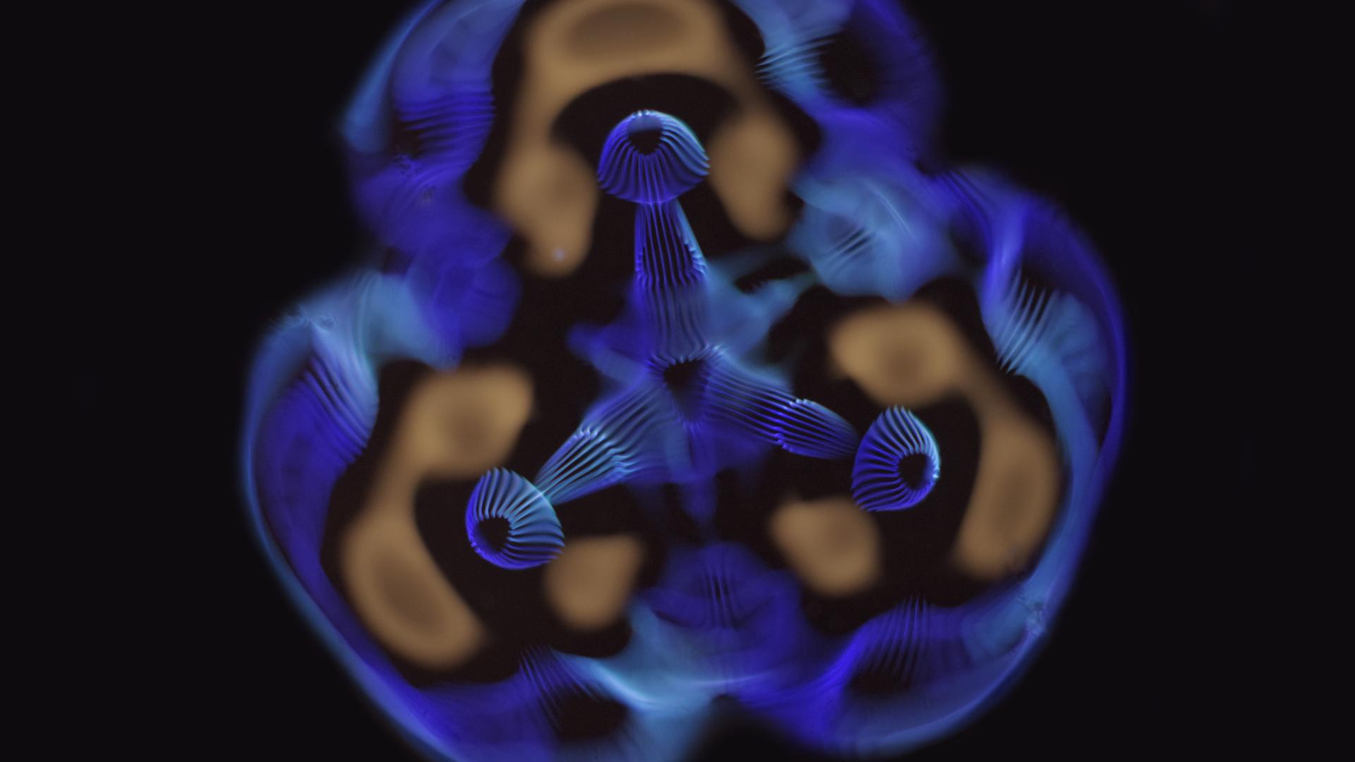 Blue and gold cymatic fine-art pattern by Duncan Telford — Chakratones cymatics prints and sound healing visual